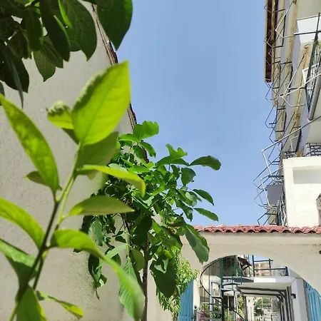 Olympia 3* Sarande